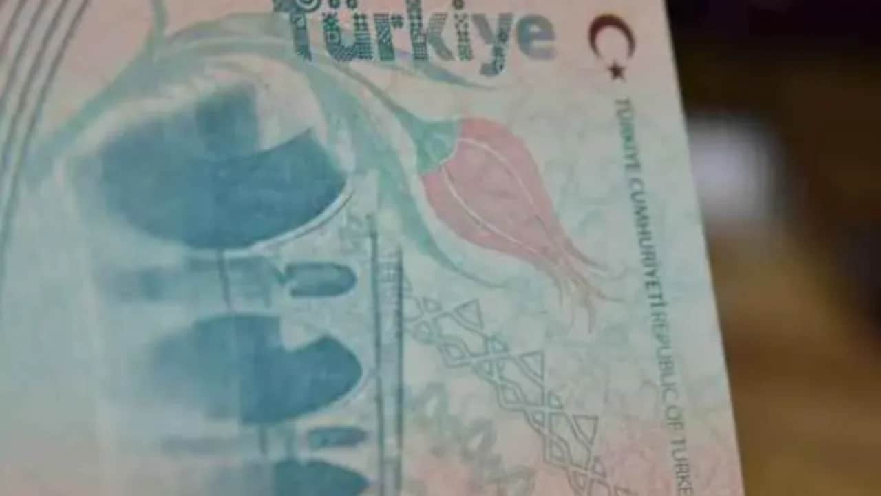 Liste güncellendi: İşte Türklere vize istemeyen ülkeler!
