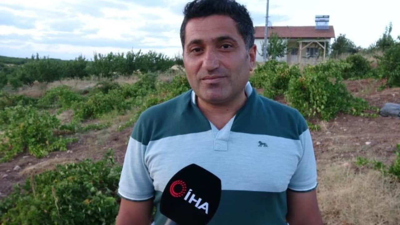 Foto - Malatya'da bereketli sezon üzüm üreticisini sevindirdi