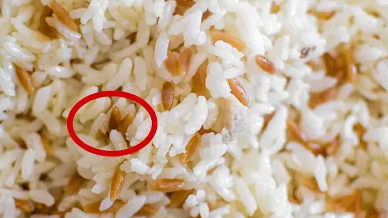 Foto - MasterChef Paella nasıl yapılır? İspanya'nın nefes kesen lezzeti... O bölüm İspanya rüzgarı esti