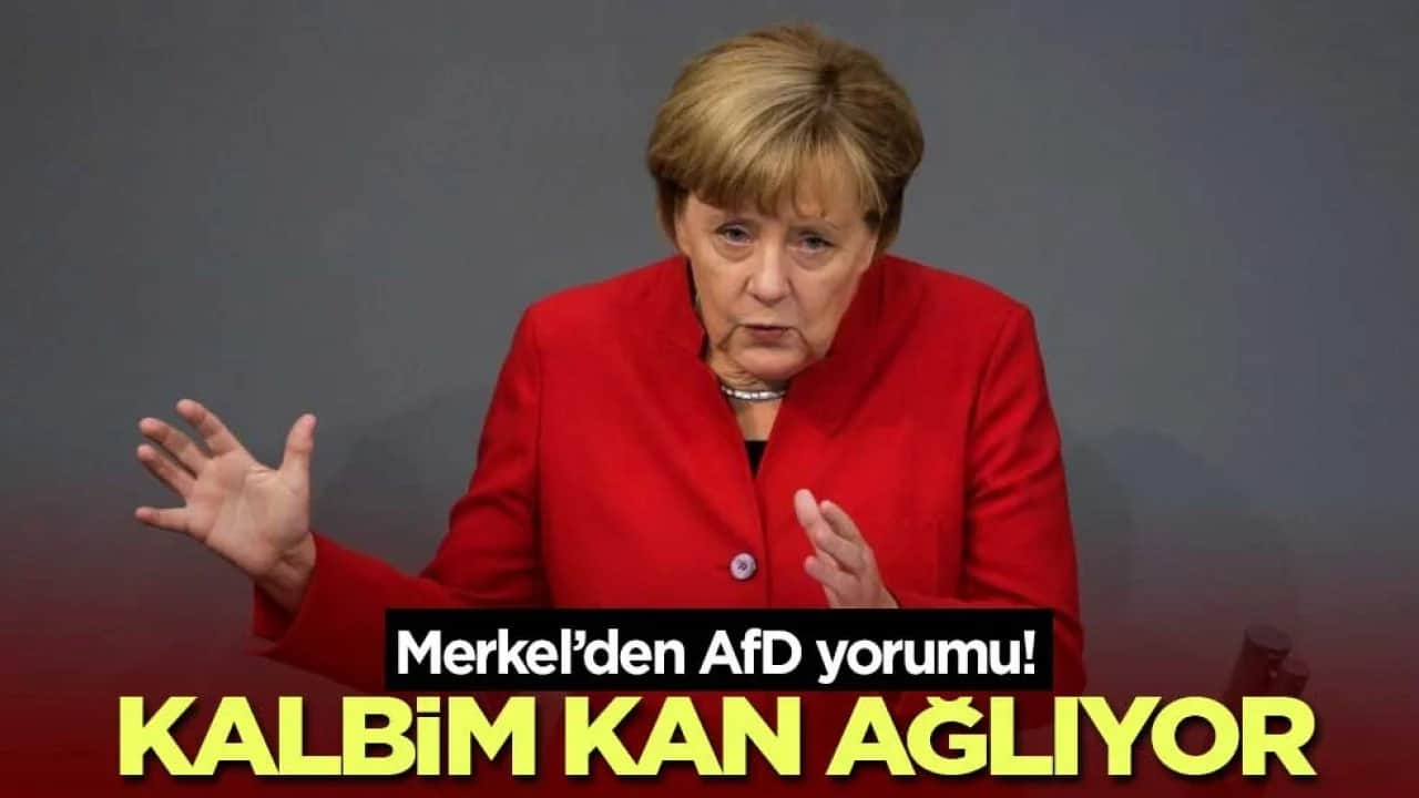 Merkel’den AfD yorumu! Kalbim kan ağlıyor