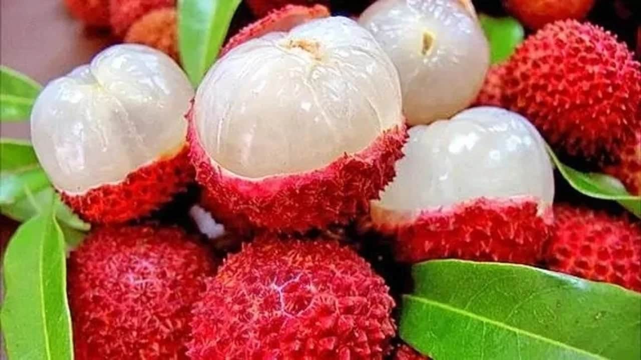 Mersin'de yetişiyor: Halk arasında 'Meyvelerin Kralı' olarak biliniyor, vatandaşların ilgisi büyük! Peki fayda sağlıyor mu?