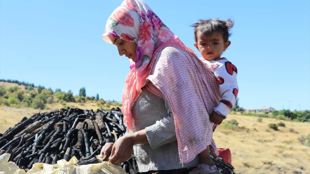 Meşe odununu mangal kömürüne dönüştürüyorlar! Geçimlerini böyle sağlıyorlar