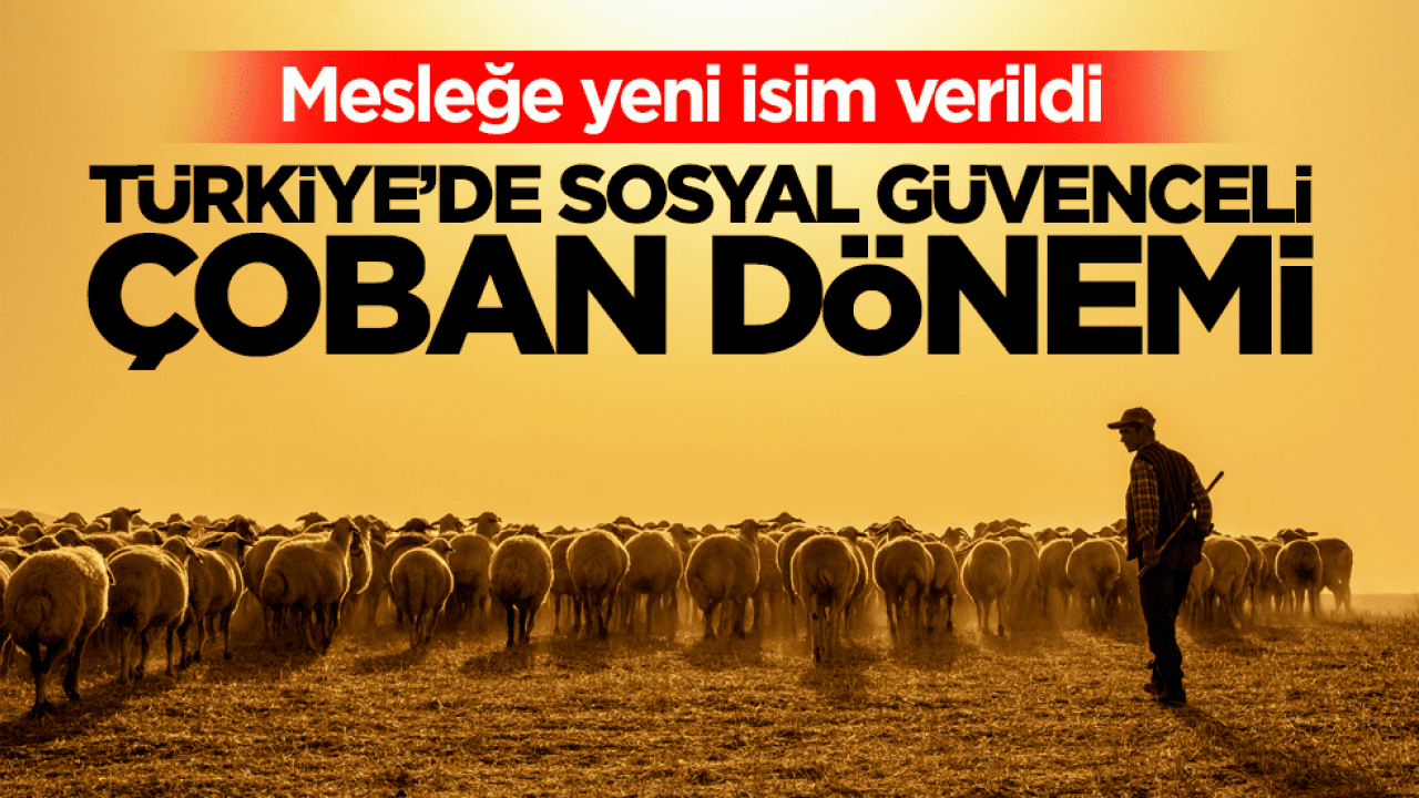 Mesleğe yeni isim verildi! Türkiye’de sosyal güvenceli çoban dönemi