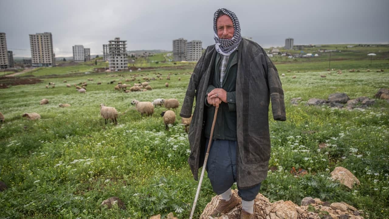 Foto - Mesleğe yeni isim verildi! Türkiye’de sosyal güvenceli çoban dönemi
