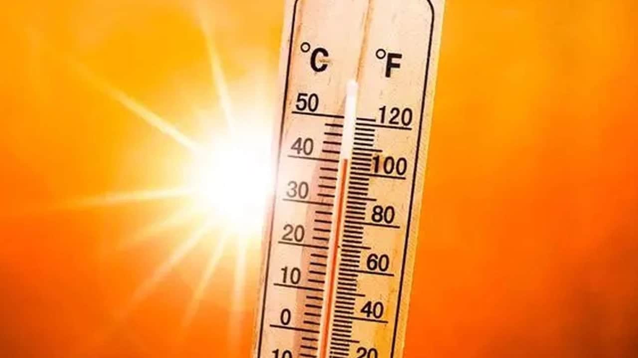 Foto - Su sıcaklığı 40 ila 60 derece: Mikrofiber bezleri temizlerken çok ama çok dikkat edin 