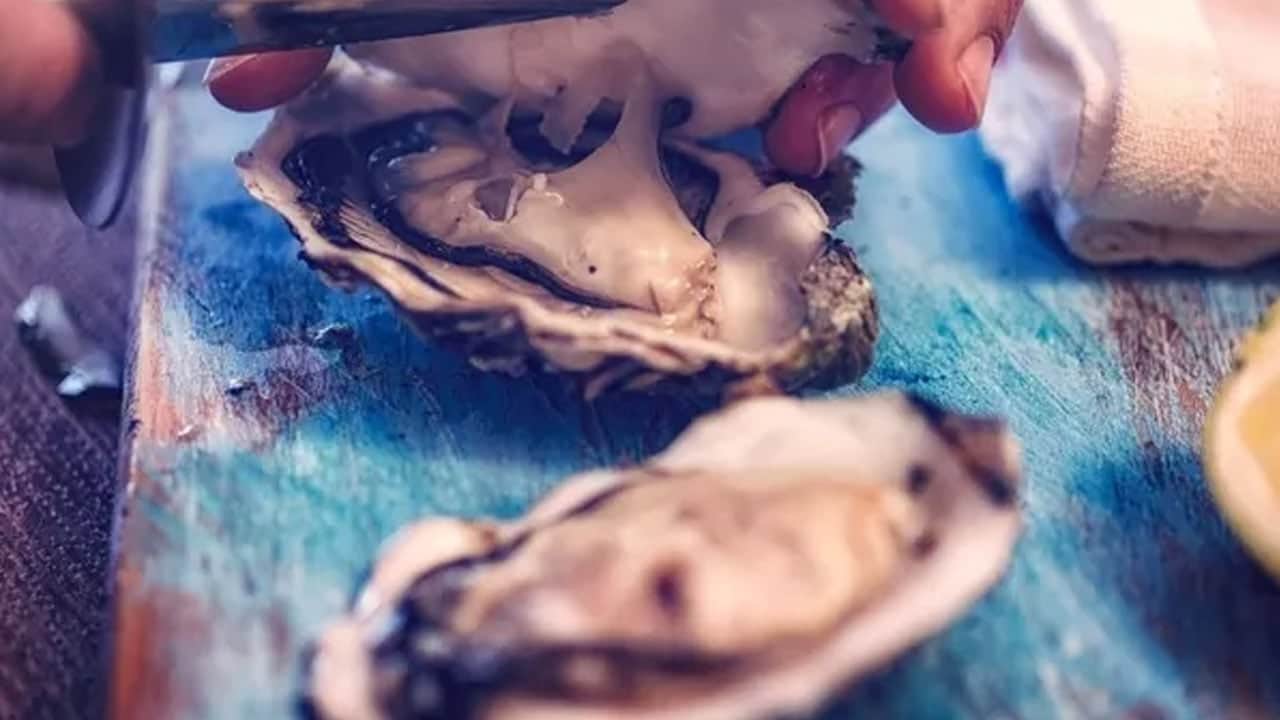 Foto - Milyonlarca insan her gün tüketiyor! Meğer bu gıdanın içinde hazine saklıymış, uzmanlar öneriyor bol bol tüketin