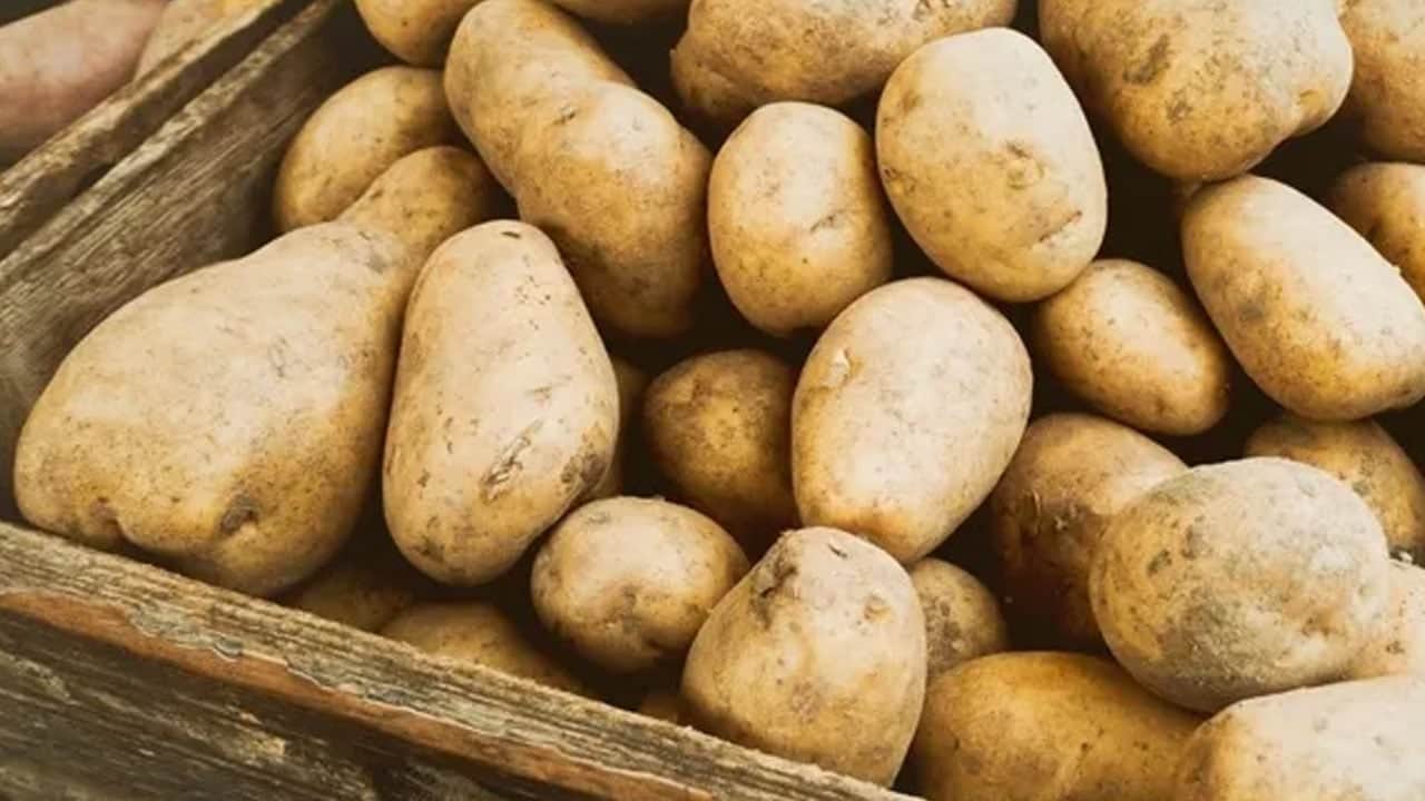 Foto - Milyonlarca insan her gün tüketiyor! Meğer bu gıdanın içinde hazine saklıymış, uzmanlar öneriyor bol bol tüketin