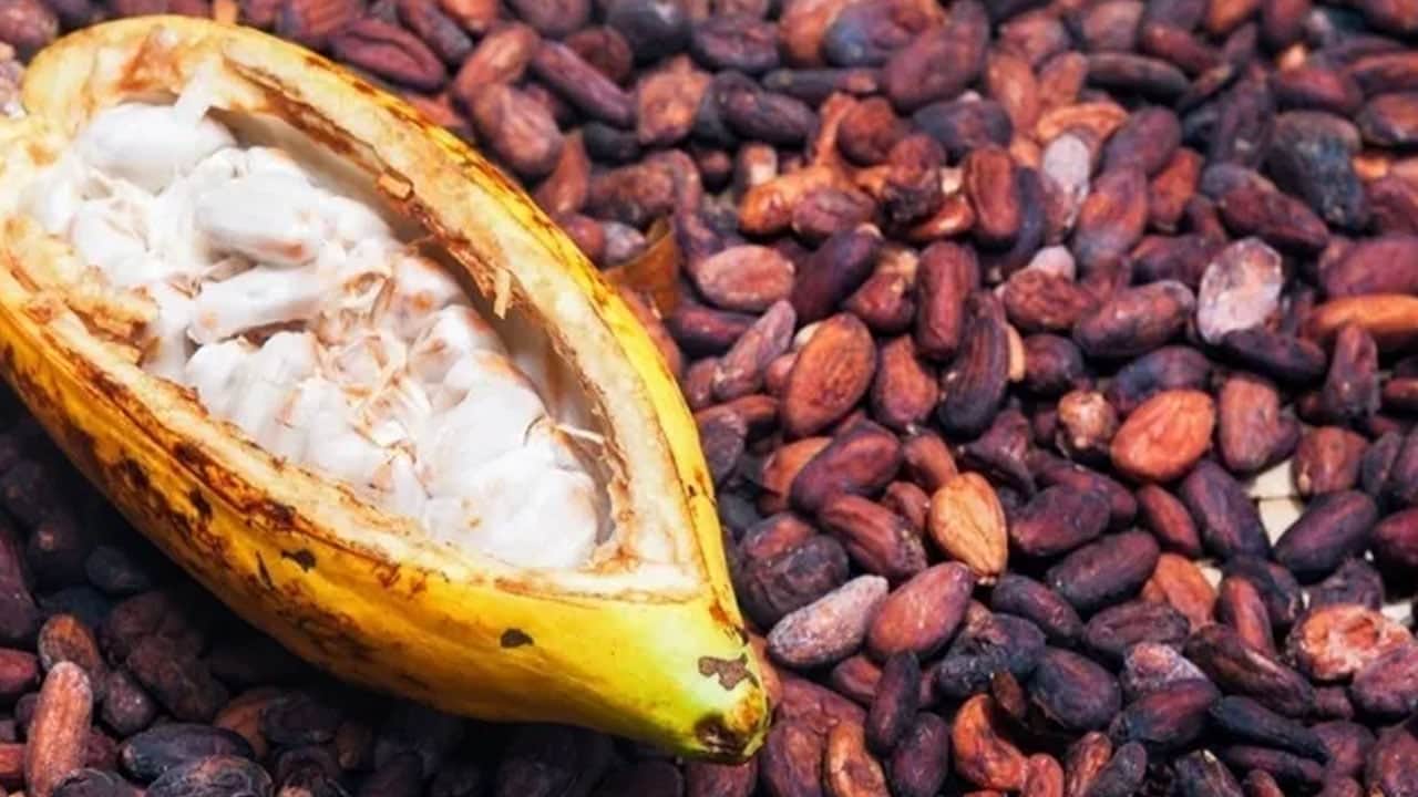 Foto - Milyonlarca insan her gün tüketiyor! Meğer bu gıdanın içinde hazine saklıymış, uzmanlar öneriyor bol bol tüketin