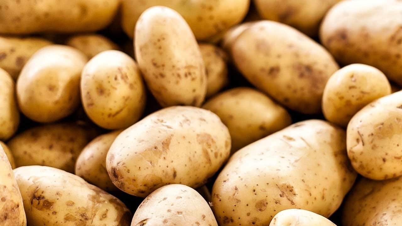 Foto - Milyonlarca kişiyi ilgilendiriyor... Hasat öncesi Patatese pestisit denetimi: Gıda güvenliği için son hali araştırılıyor!