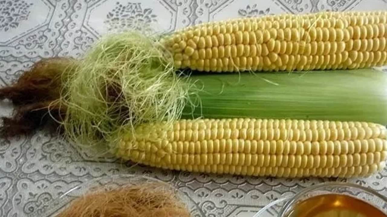 Foto - Mısır püskülü değerli! İbrahim Saraçoğlu'ndan tavsiye: Bunu yapanın vücuduna hastalık girmiyor! Yapmayan bin pişman 