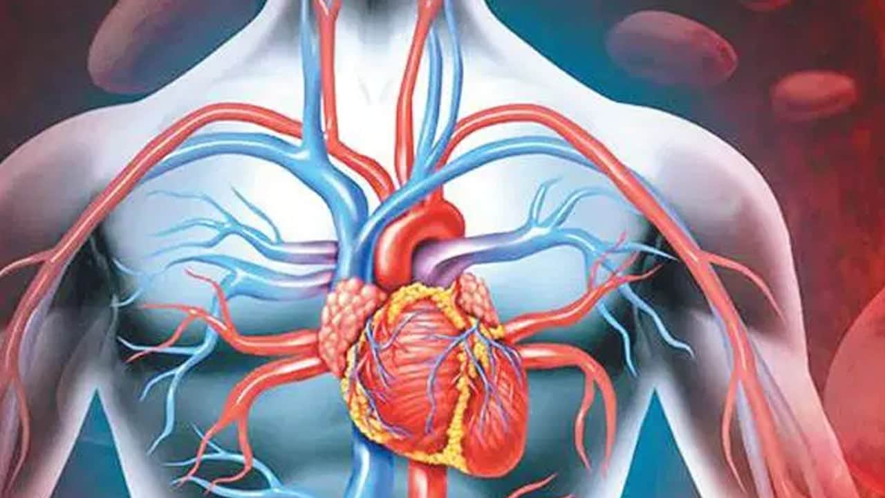 Foto - Mısır püskülü değerli! İbrahim Saraçoğlu'ndan tavsiye: Bunu yapanın vücuduna hastalık girmiyor! Yapmayan bin pişman 