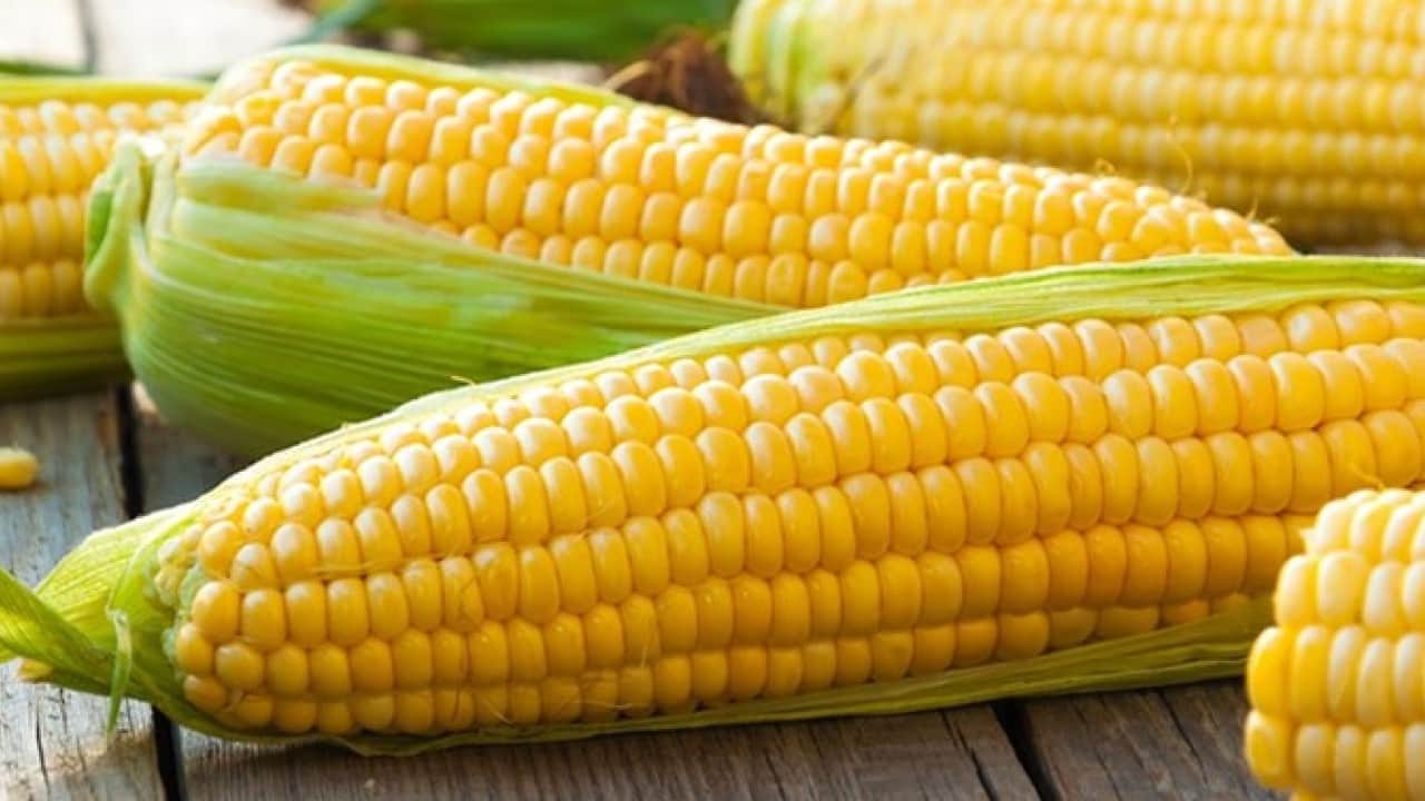 Foto - Mısır yemek lüks oldu! El Nino etkisi fiyatları katladı