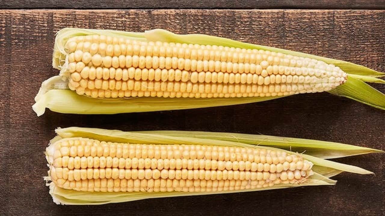 Foto - Mısır yemek lüks oldu! El Nino etkisi fiyatları katladı