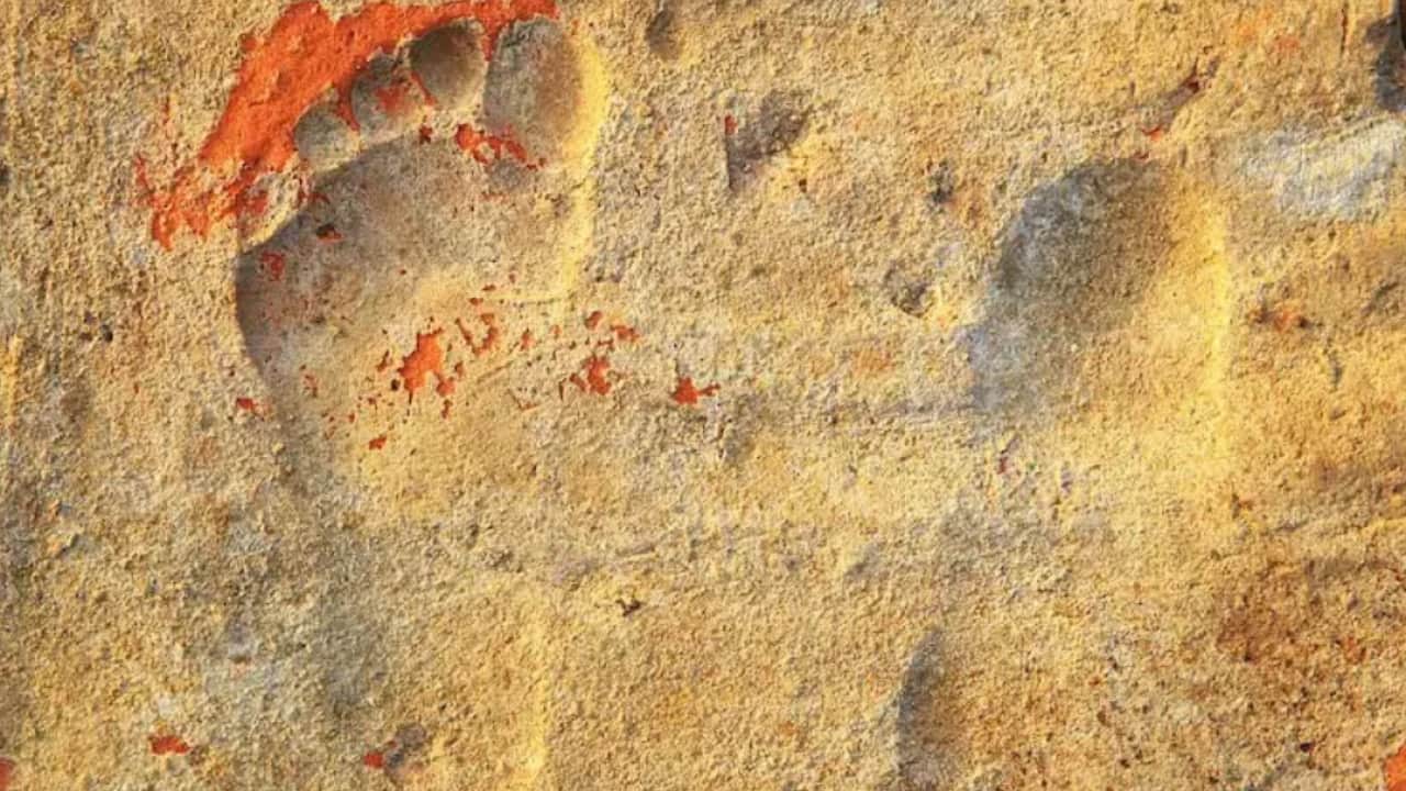 Muğla'da sıra dışı keşif: 1900 yaşındaki çocukların ayak izleri!