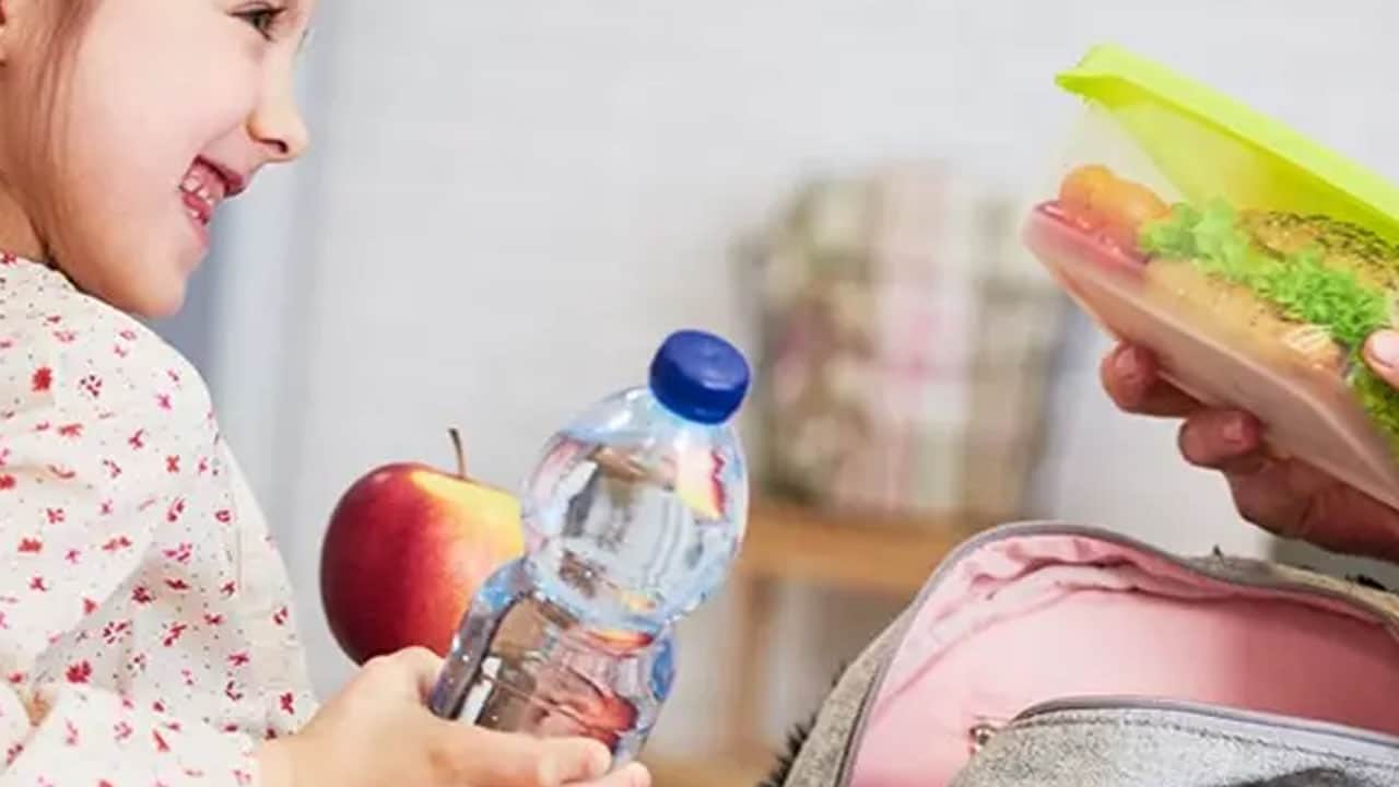 Foto - Mükemmel menü şart değil! Sebze & Meyve asıl kalkanı: Çocukların beslenme çantasında neler olmalı? Püf noktaları