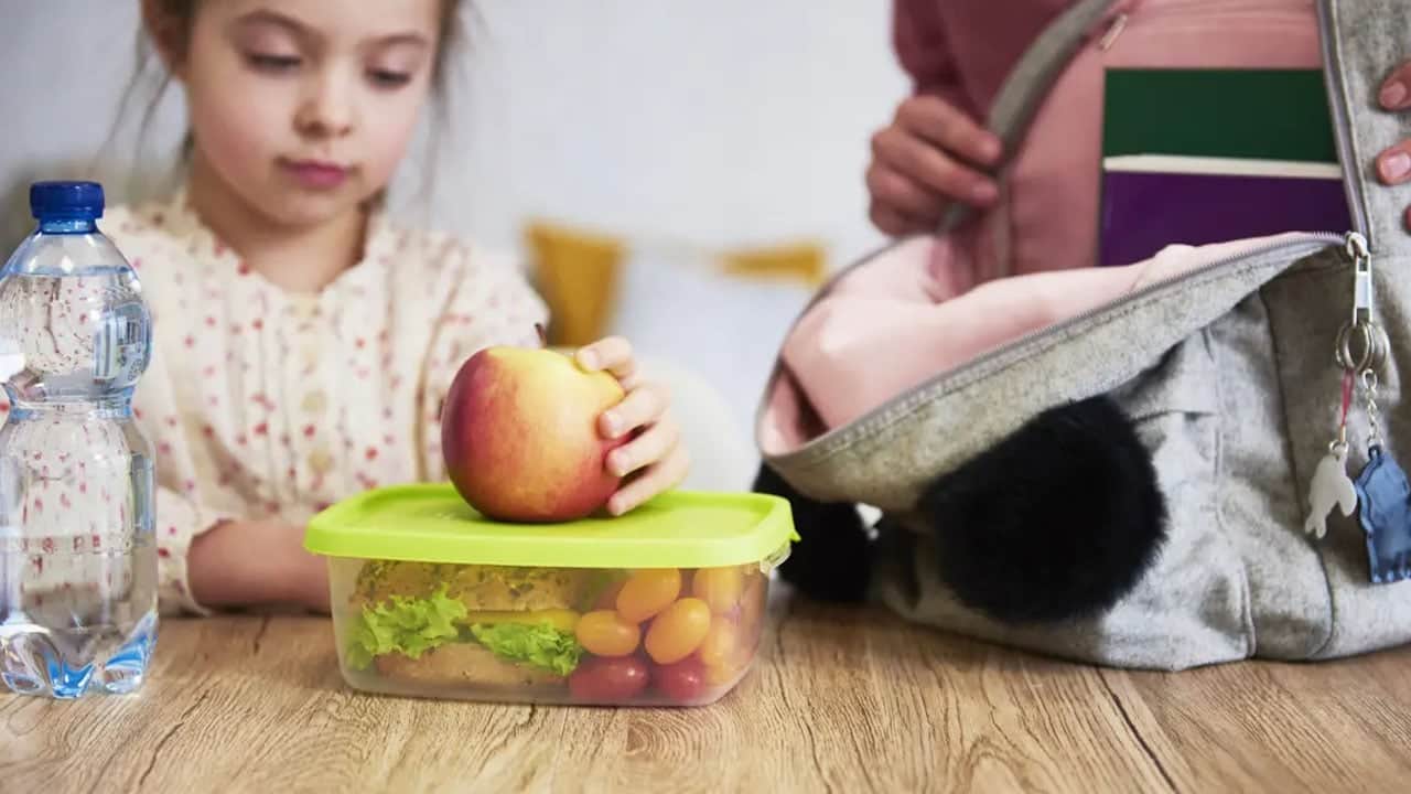 Mükemmel menü şart değil! Sebze & Meyve asıl kalkanı: Çocukların beslenme çantasında neler olmalı? Püf noktaları