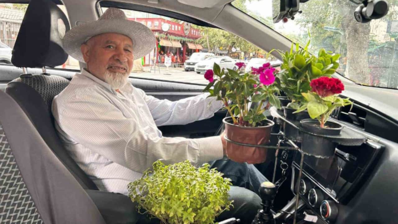 Foto - Müşterilerin ağzı açık kalıyor! Mini seralı çiçek taksi