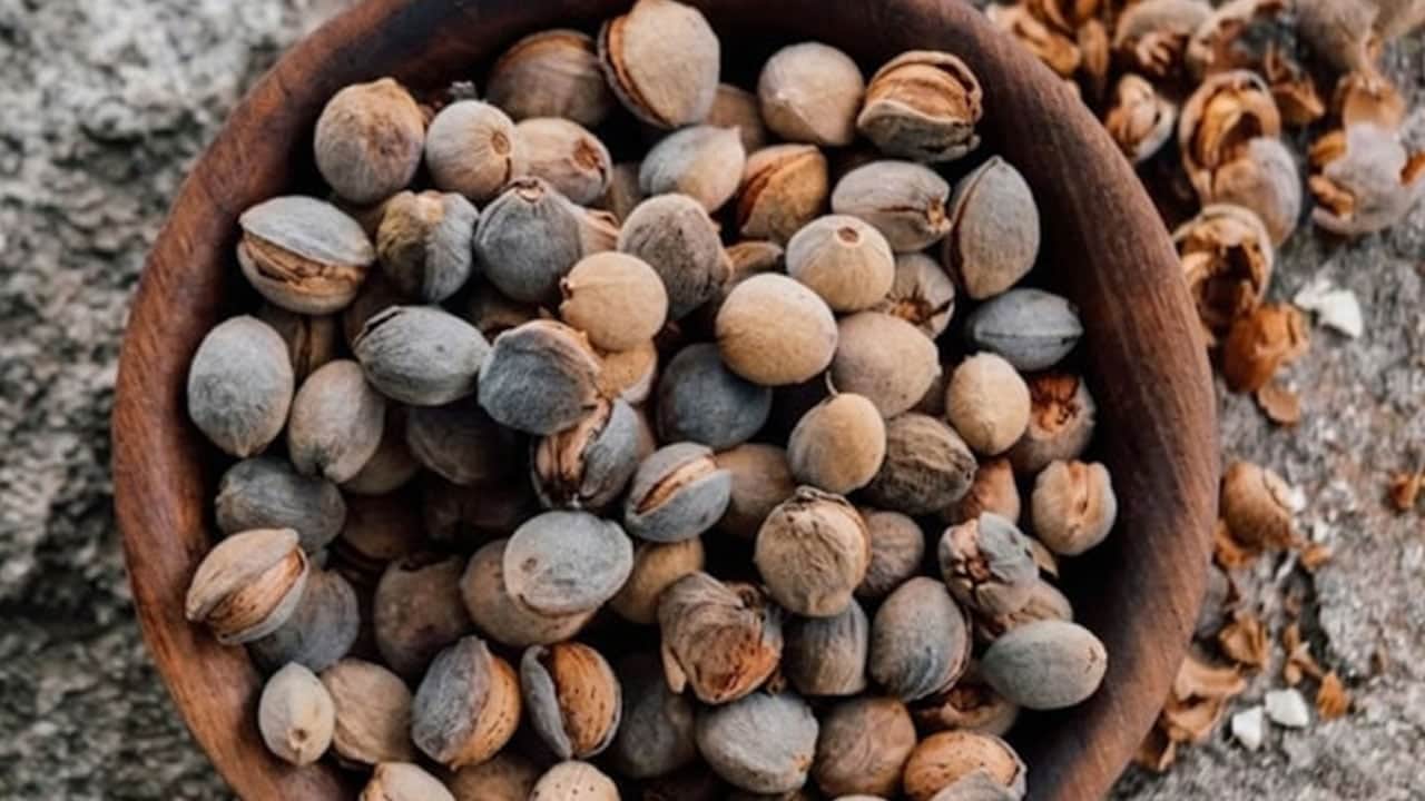 Foto - Hem fındık hem de ceviz... Haftada 2 gün yiyen şifa buluyor! Herkes bu lezzetin peşine düştü