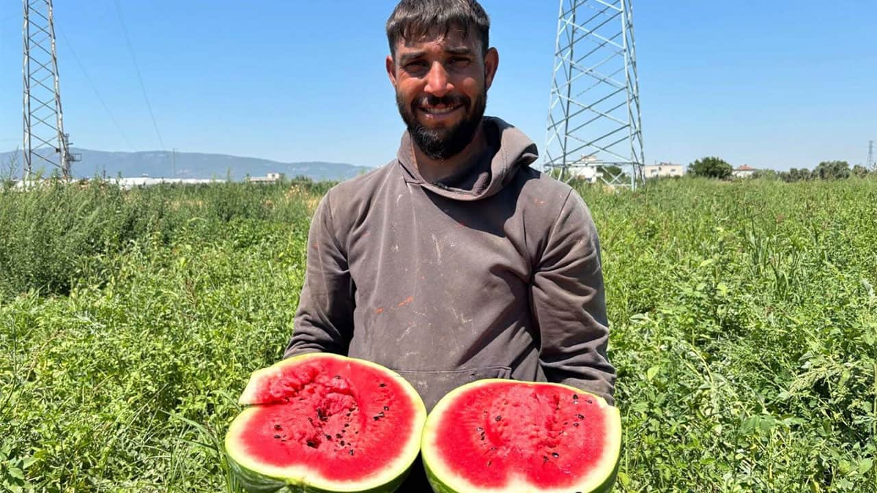 Foto - Mutlaka bir yere not alın, işinize yarayacak! İşte en iyi karpuzu seçmenin sırrı