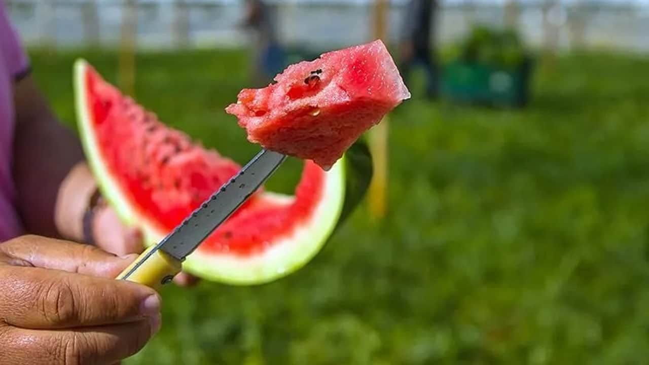 Mutlaka bir yere not alın, işinize yarayacak! İşte en iyi karpuzu seçmenin sırrı