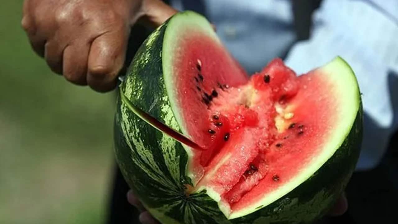 Foto - Mutlaka bir yere not alın, işinize yarayacak! İşte en iyi karpuzu seçmenin sırrı