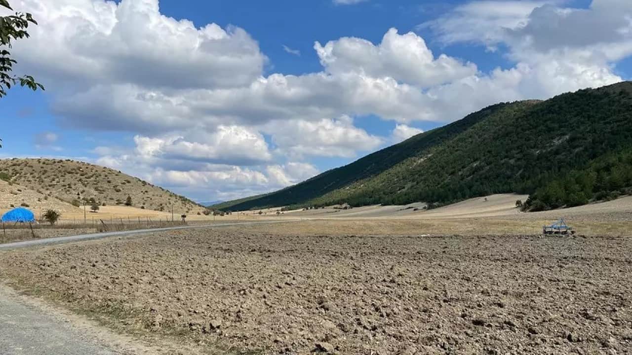 Foto - Ne altın ne dolar ne de gümüş! Türk halkı parasını oraya yatırmaya başladı, çılgınlar gibi kar ettiler