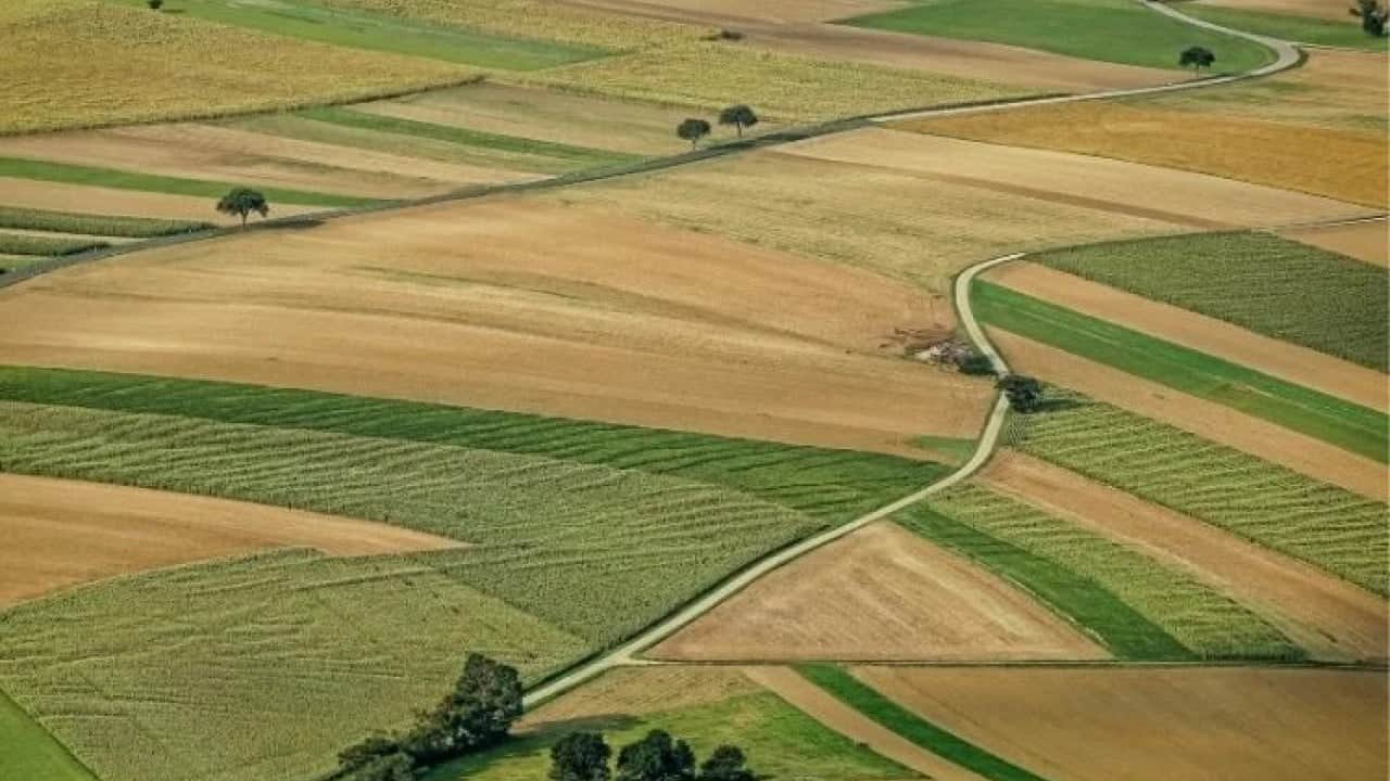 Foto - Ne altın ne dolar ne de gümüş! Türk halkı parasını oraya yatırmaya başladı, çılgınlar gibi kar ettiler