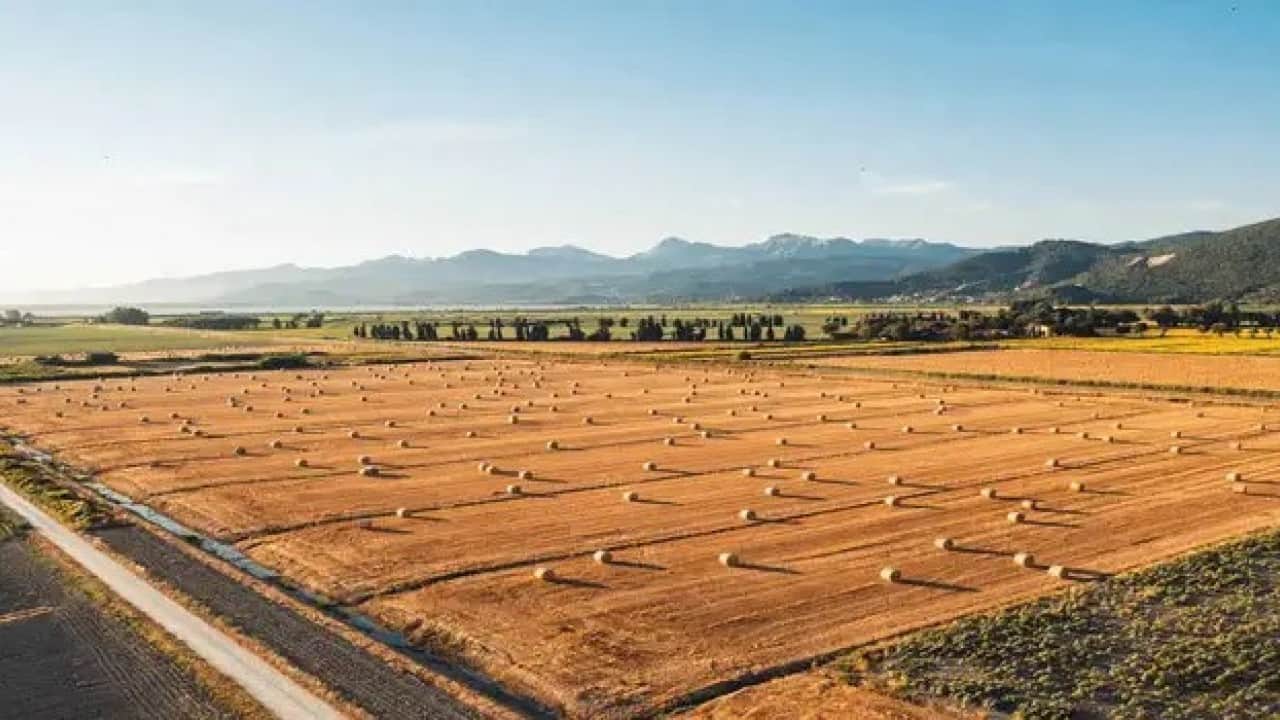 Foto - Ne altın ne dolar ne de gümüş! Türk halkı parasını oraya yatırmaya başladı, çılgınlar gibi kar ettiler