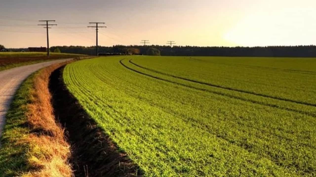 Foto - Ne altın ne dolar ne de gümüş! Türk halkı parasını oraya yatırmaya başladı, çılgınlar gibi kar ettiler