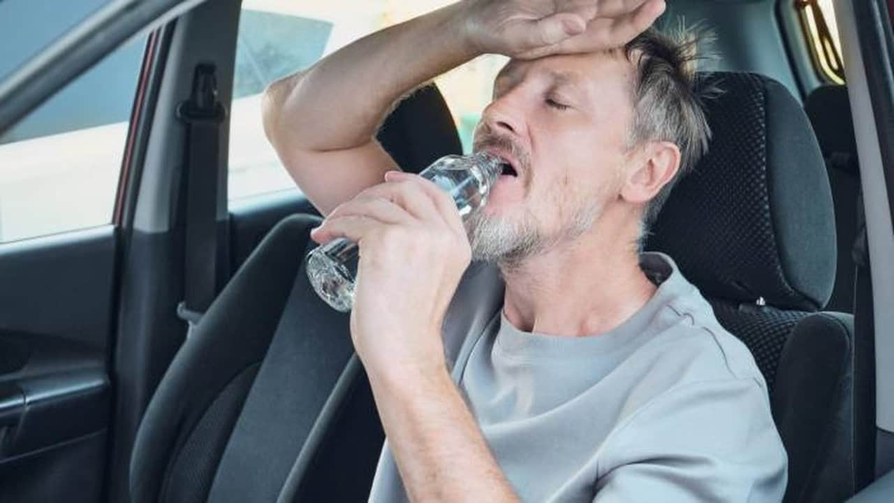 Foto - Neredeyse hiç kimse bilmiyor! Otomobilinizdeki o gizli düğme meğer mini bir buzdolabıymış