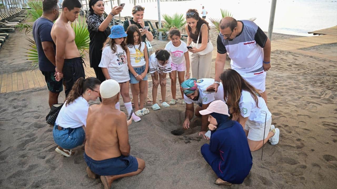 Foto - Nesli tükenme tehlikesi altında! Caretta carettaların yuvalarında yavru çıkışları sürüyor