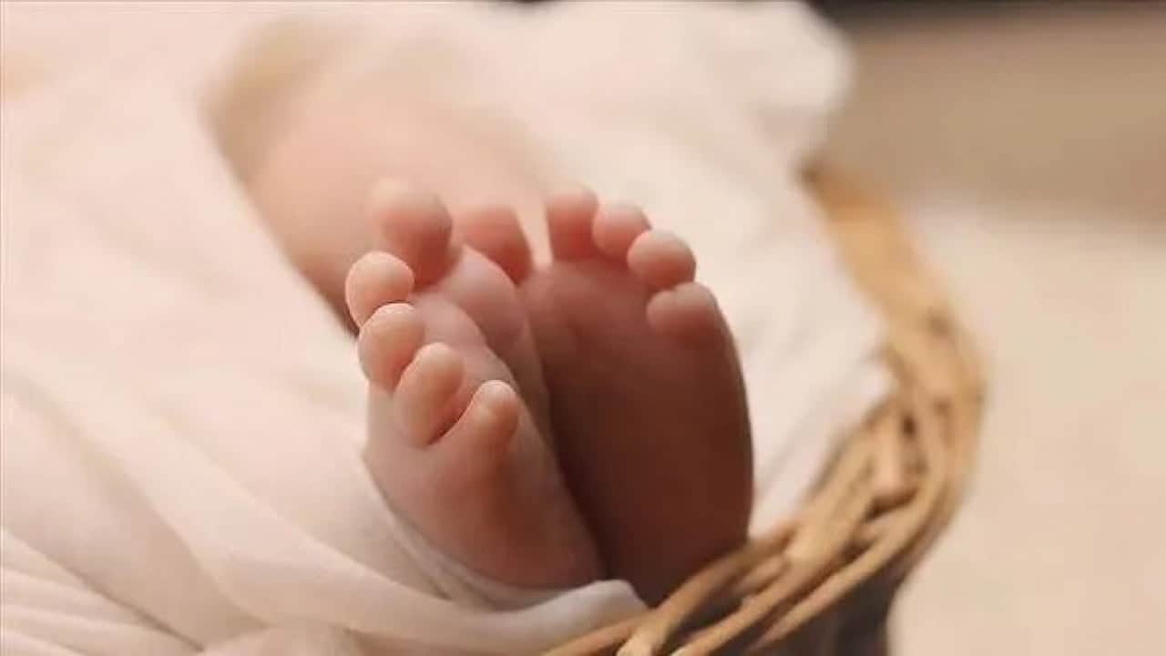 Foto - O şehirde doğurganlık alarm veriyor!