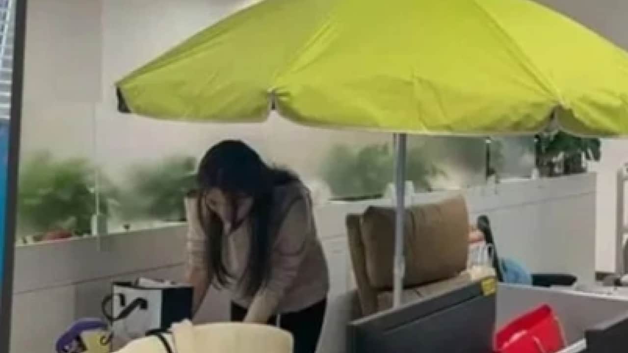 Ofiste maske takıp şemsiye kullanıyorlar! Nedenini duyanlar şaştı kaldı!