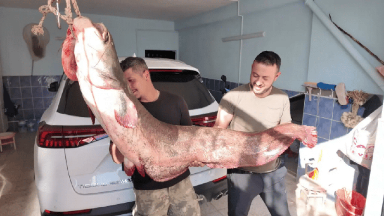 Foto - Oltaya takılanı görünce sevinçten dört köşe oldu!