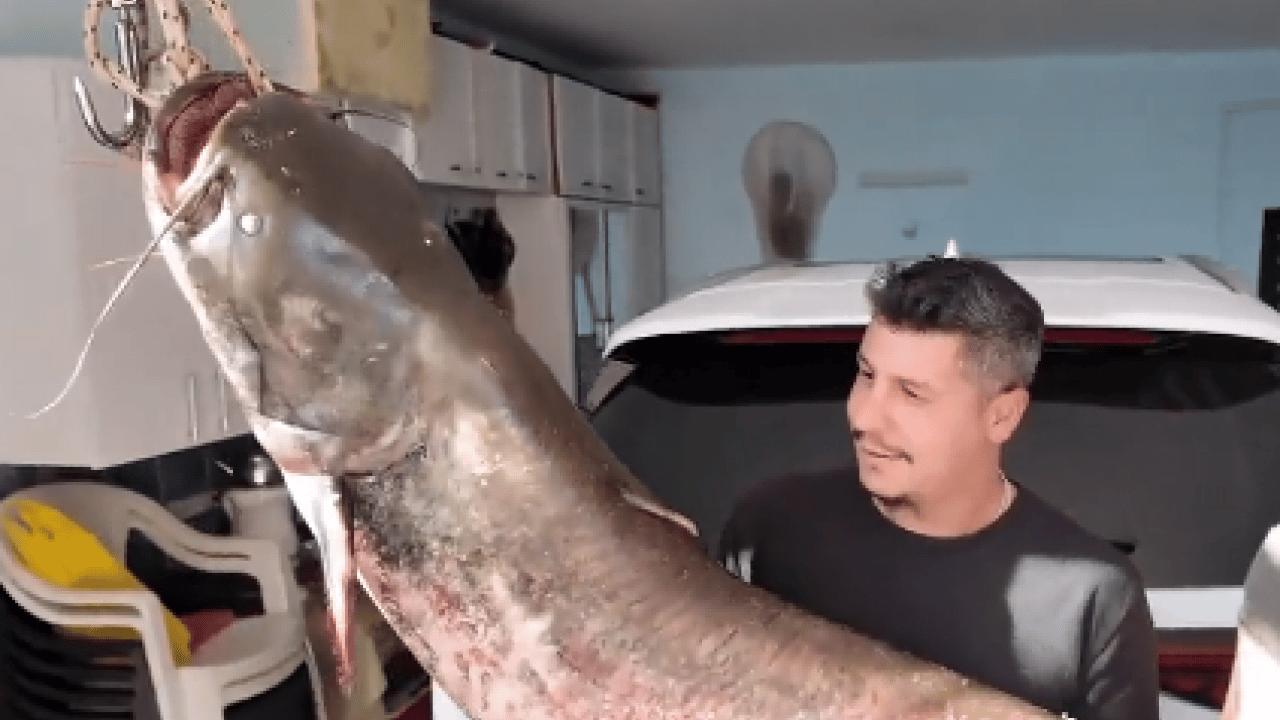 Foto - Oltaya takılanı görünce sevinçten dört köşe oldu!