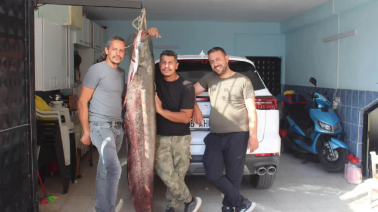 Foto - Oltaya takılanı görünce sevinçten dört köşe oldu!