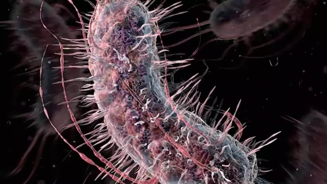 Foto - Ölümcül virüs bir Avrupa ülkesini daha ele geçirdi! Türkiye için tehlike var mı?