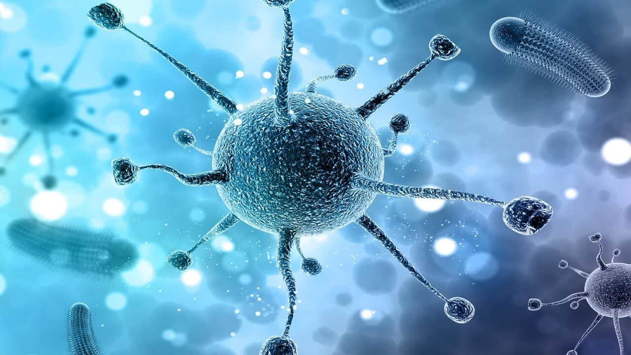 Foto - Ölümcül virüs bir Avrupa ülkesini daha ele geçirdi! Türkiye için tehlike var mı?