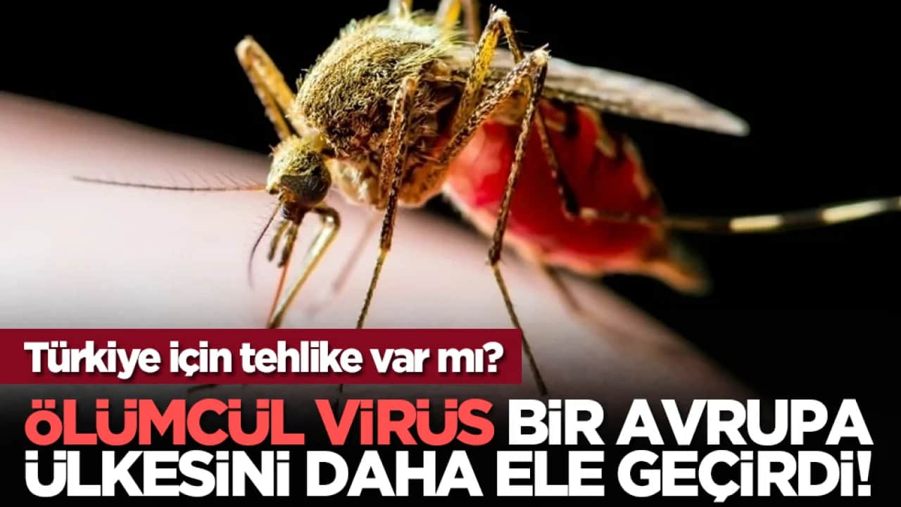 Ölümcül virüs bir Avrupa ülkesini daha ele geçirdi! Türkiye için tehlike var mı?