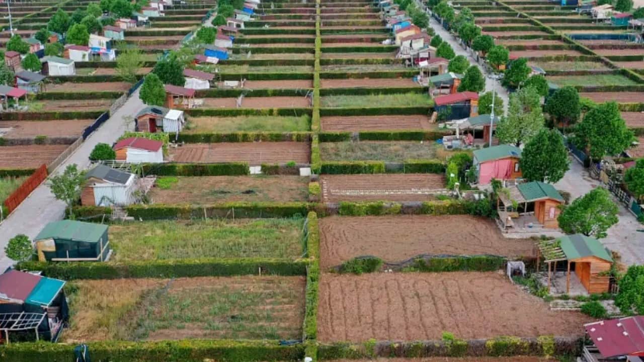 Foto - Onbinlerce hobi bahçesi sahibi beklemede: Yıkım mı, düzenleme mi?