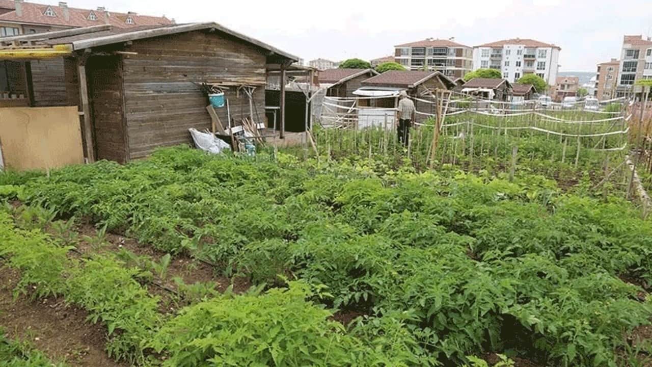 Foto - Onbinlerce hobi bahçesi sahibi beklemede: Yıkım mı, düzenleme mi?