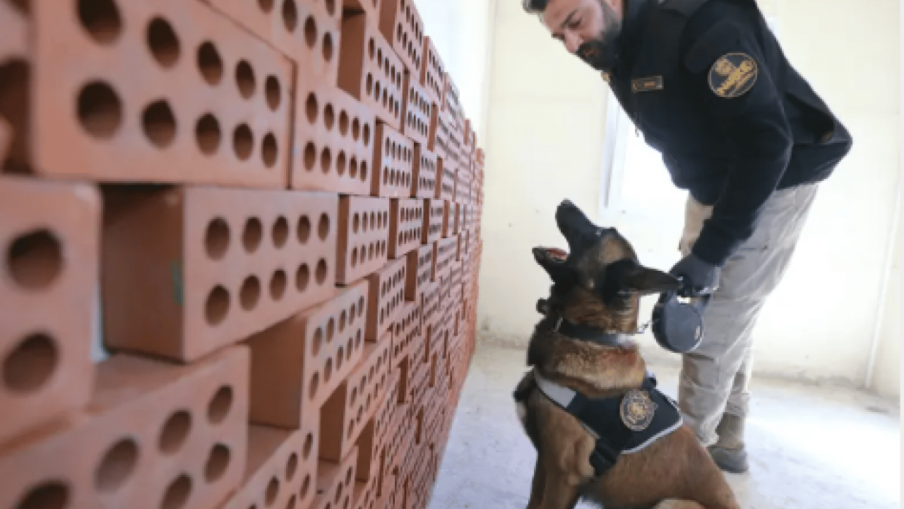 Foto - Ondan bir şey gizlenmiyor: Burnuyla hepsini tek tek ortaya çıkarıyor!