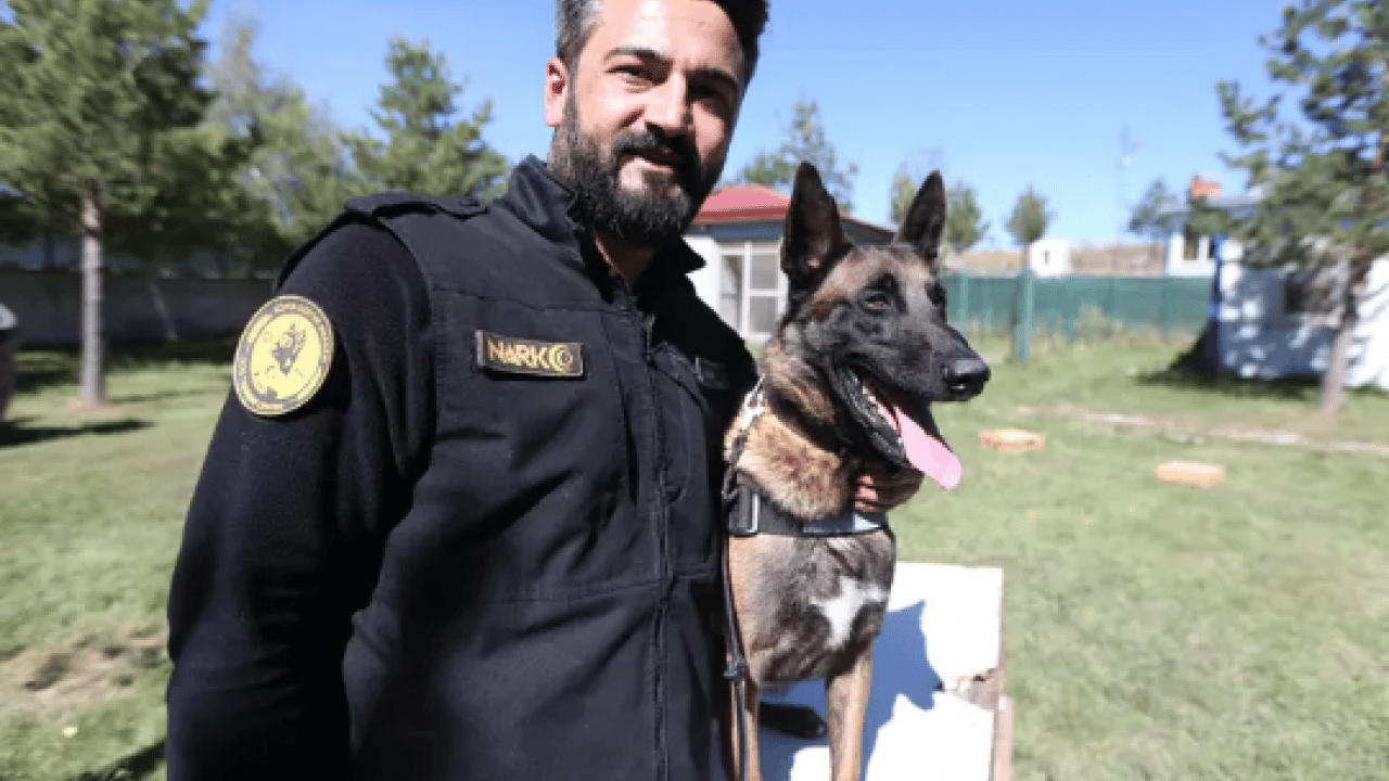 Foto - Ondan bir şey gizlenmiyor: Burnuyla hepsini tek tek ortaya çıkarıyor!