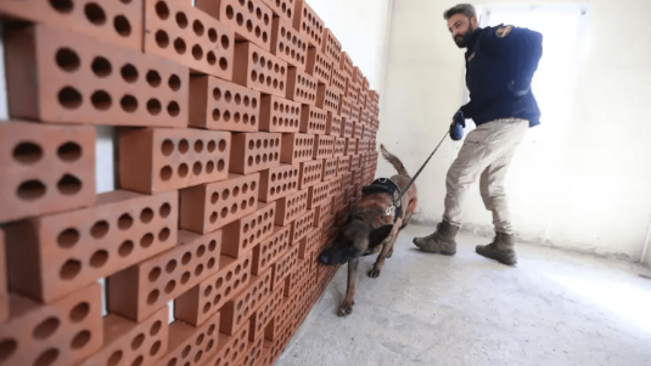 Foto - Ondan bir şey gizlenmiyor: Burnuyla hepsini tek tek ortaya çıkarıyor!