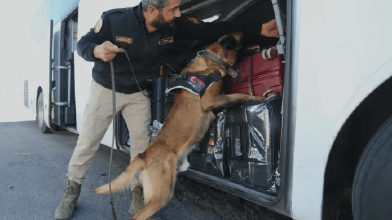 Foto - Ondan bir şey gizlenmiyor: Burnuyla hepsini tek tek ortaya çıkarıyor!