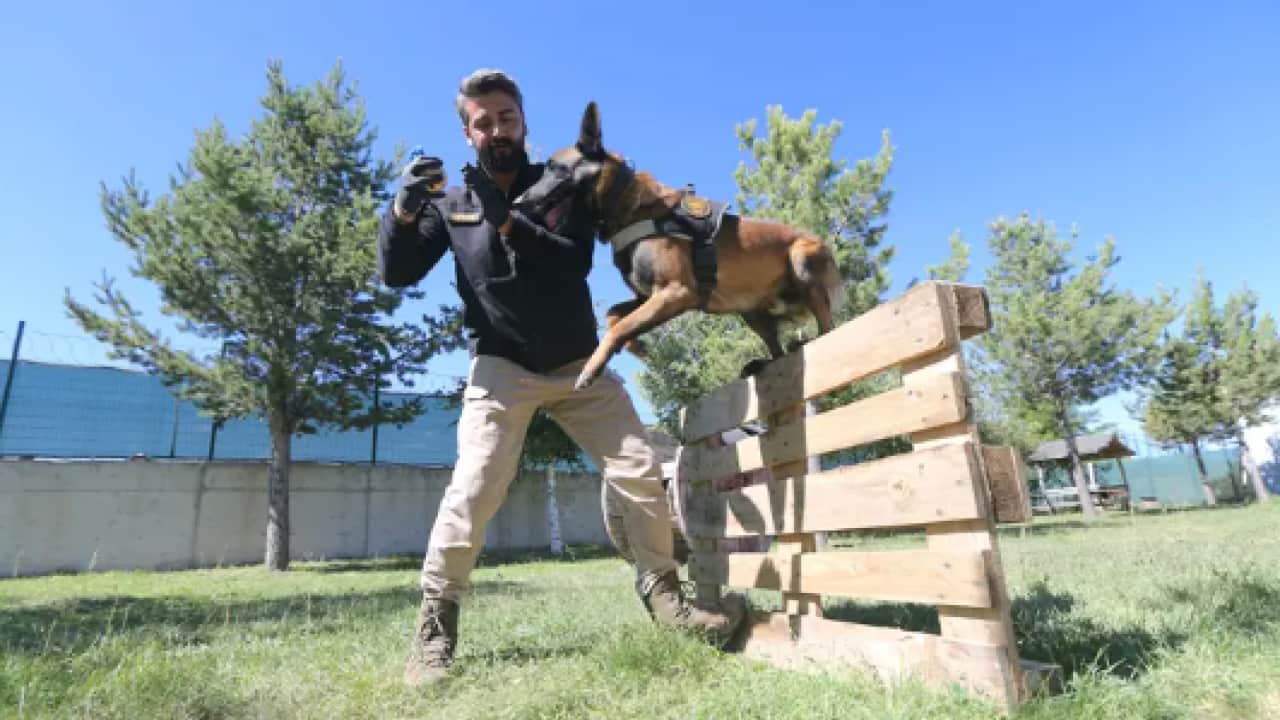 Ondan bir şey gizlenmiyor: Burnuyla hepsini tek tek ortaya çıkarıyor!