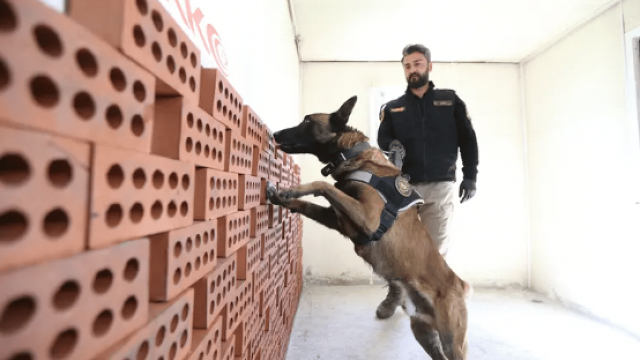 Foto - Ondan bir şey gizlenmiyor: Burnuyla hepsini tek tek ortaya çıkarıyor!