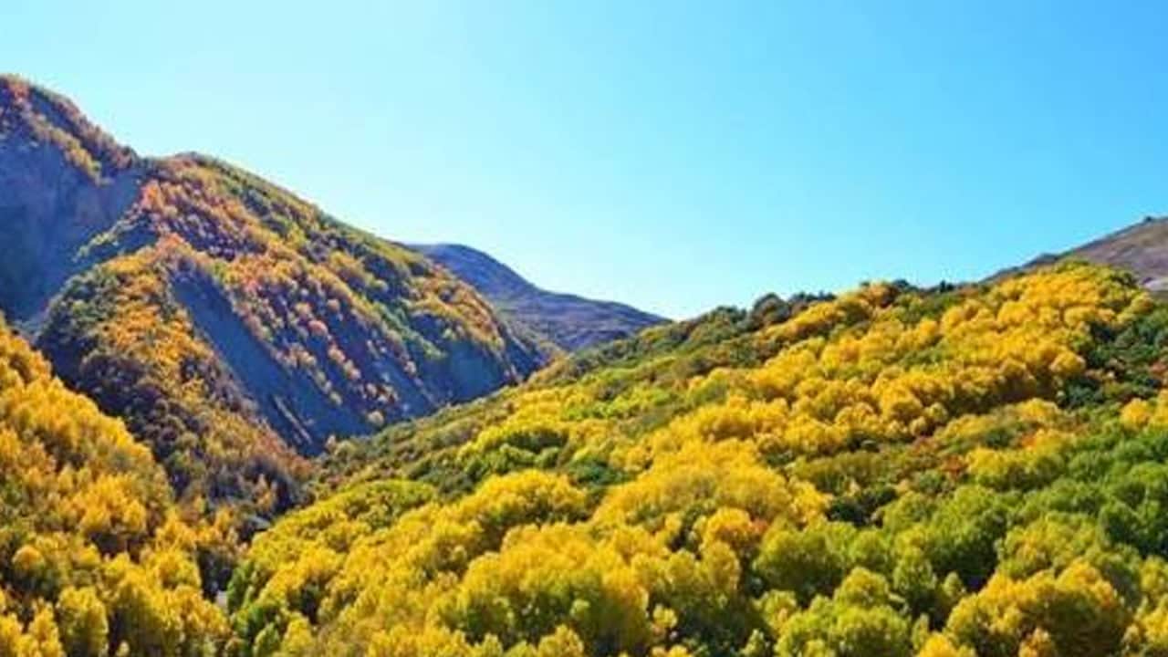 Foto - Orada, Erzincan’a uzanan rota belli oldu: Çözüm 100 yıllık gizli yolda mı? Uzmanlar o yeri tek tek açıkladı