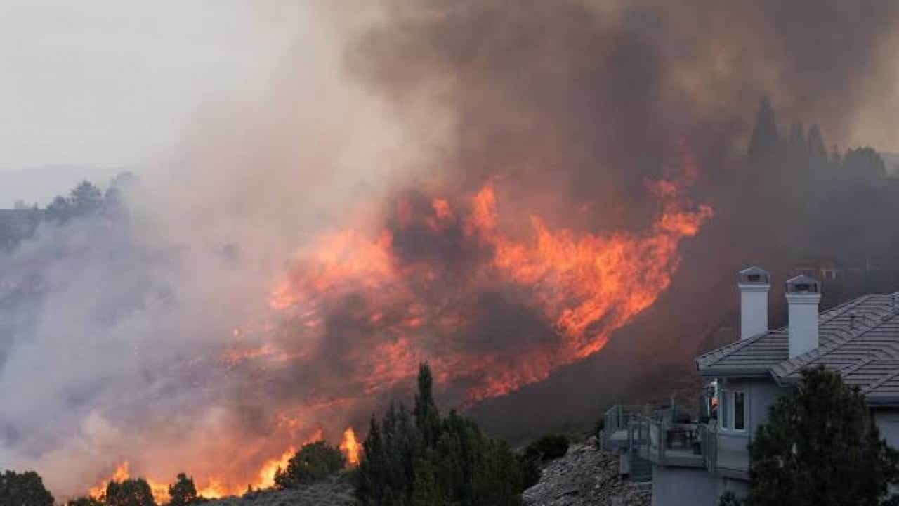 Foto - Orman yangınları ‘süper güç’e zor günler yaşatıyor Nevada’da 42 bin kişiye tahliye emri