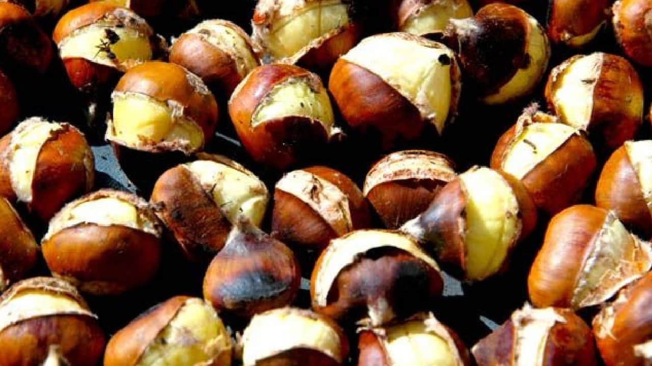 Foto - Ormanların altın madeni gibi! Kilosu 900 lirayı gören o lezzeti toplayanlar köşeyi dönüyor